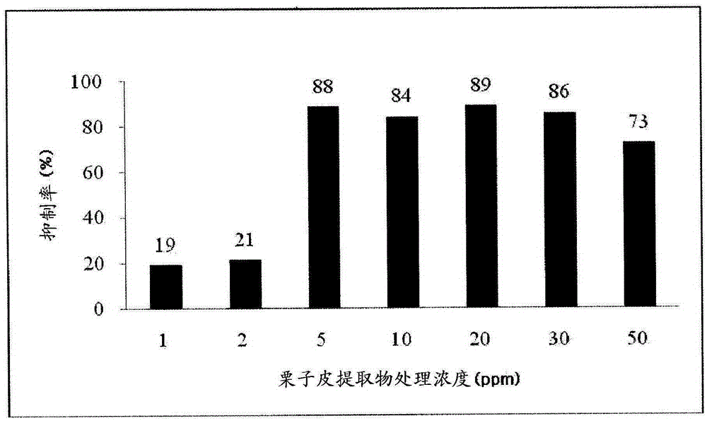 Health food or pharmaceutical composition comprising chestnut shell extract