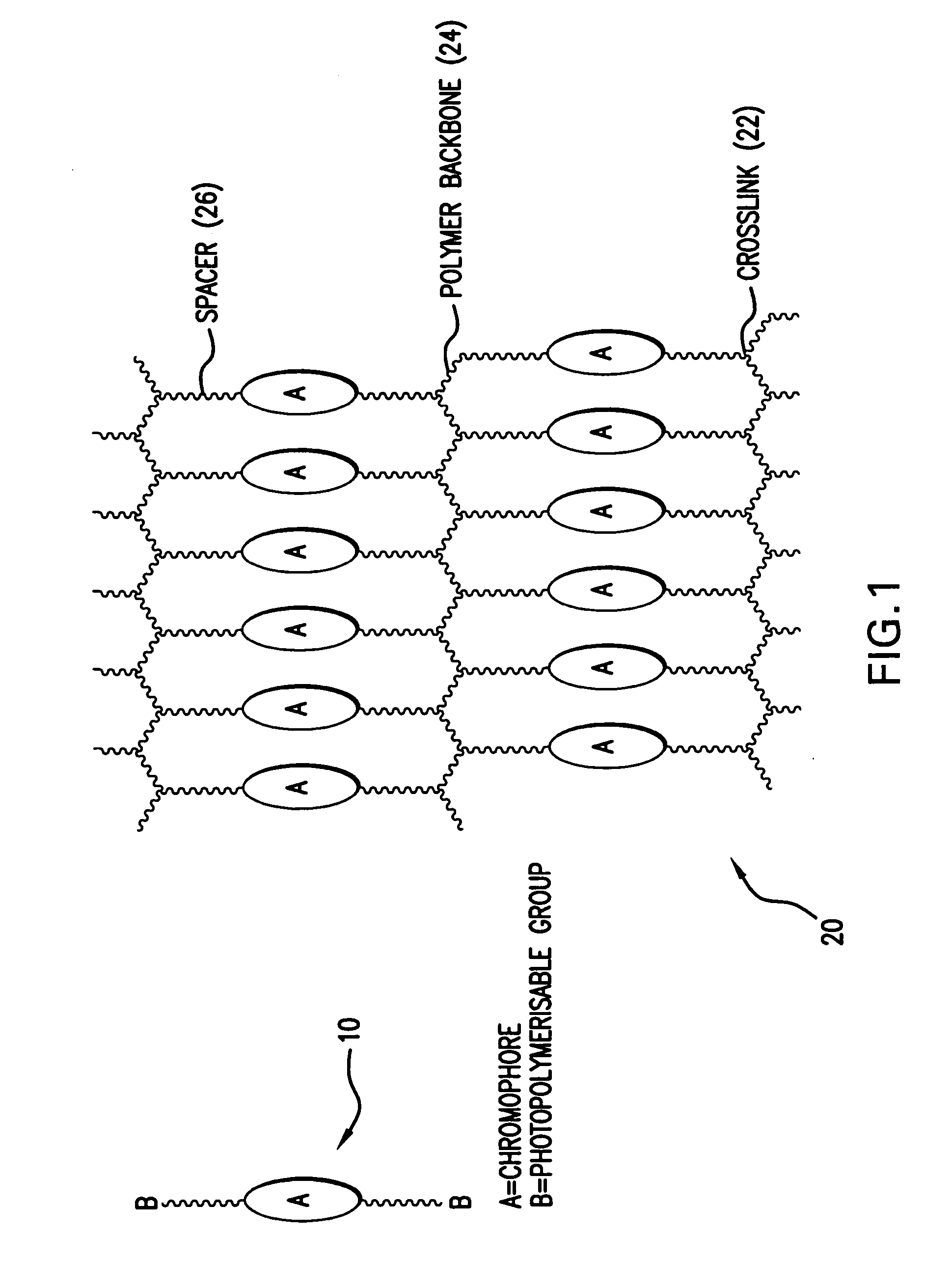 Light emitting polymer