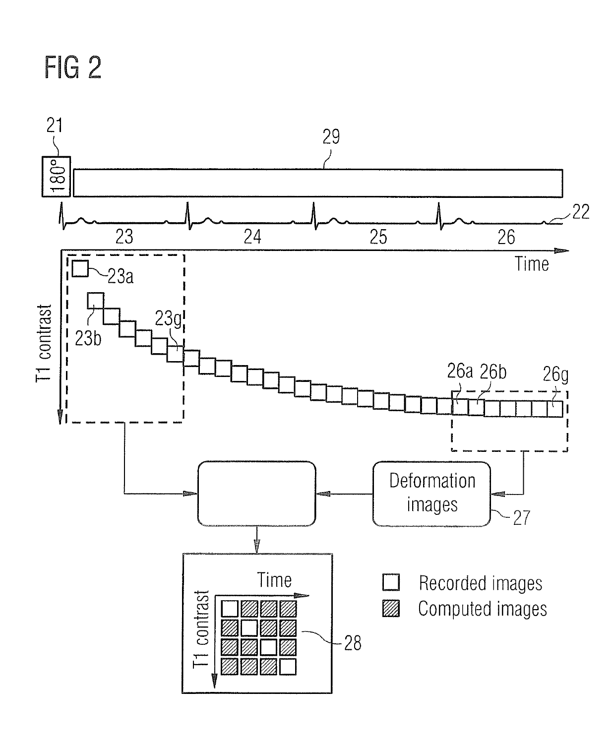 Dynamic magnetic resonance imaging with variable contrast