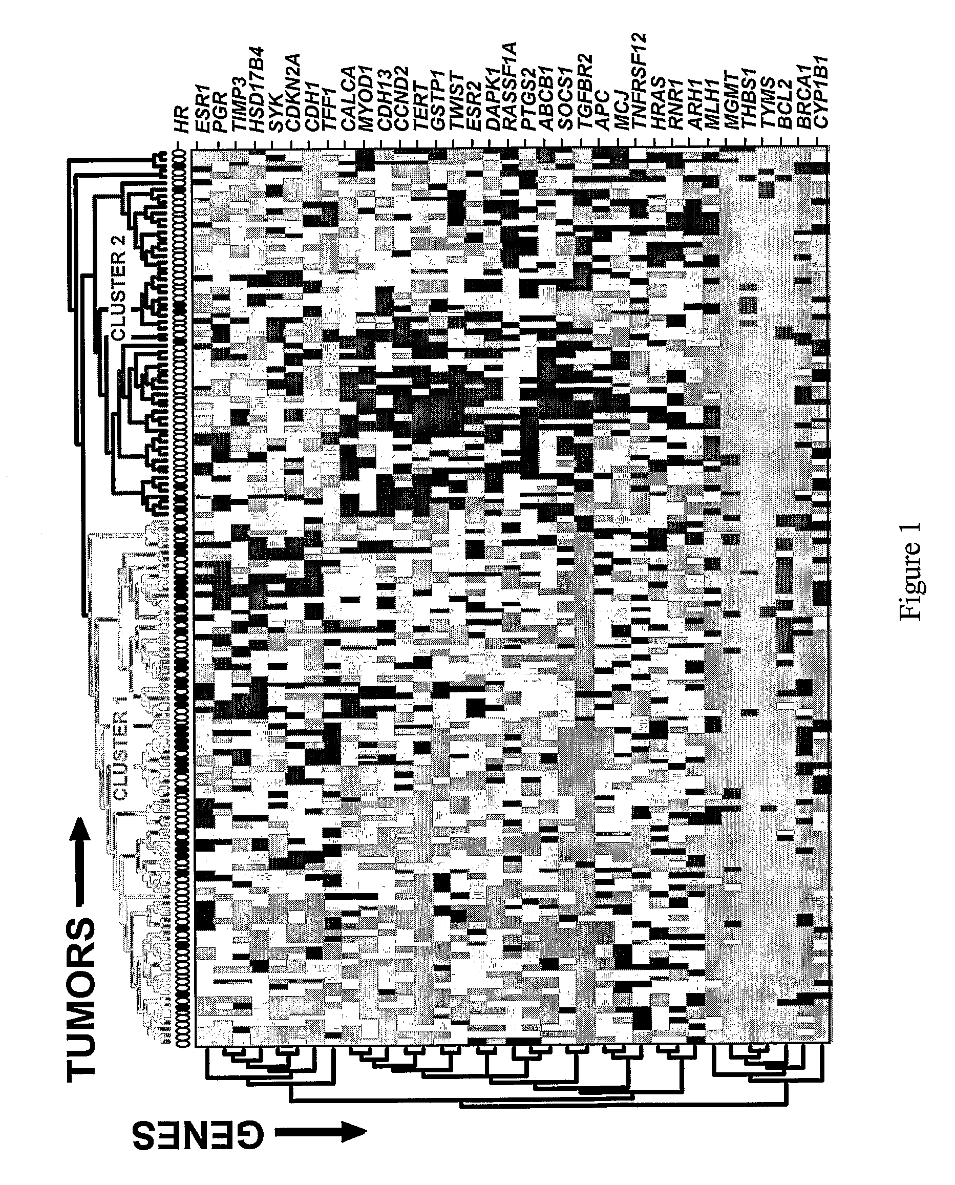 Association of Breast Cancer DNA Methylation Profiles with Hormone Receptor Status and Response to Tamoxifen