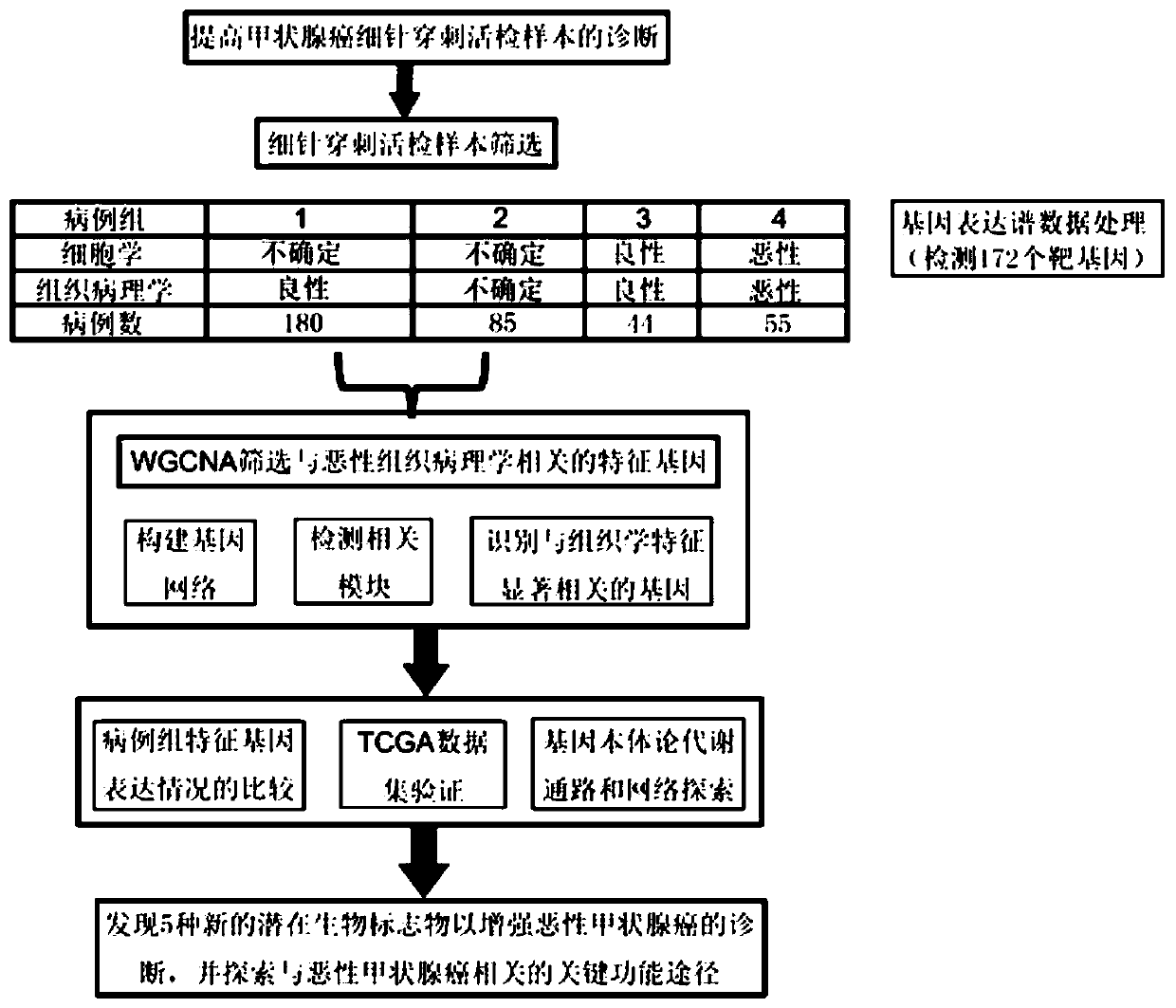 Specific gene markers for TMT (thyroid malignant tumor) and application of specific gene markers