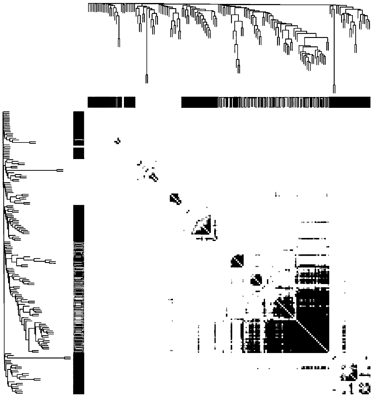 Specific gene markers for TMT (thyroid malignant tumor) and application of specific gene markers