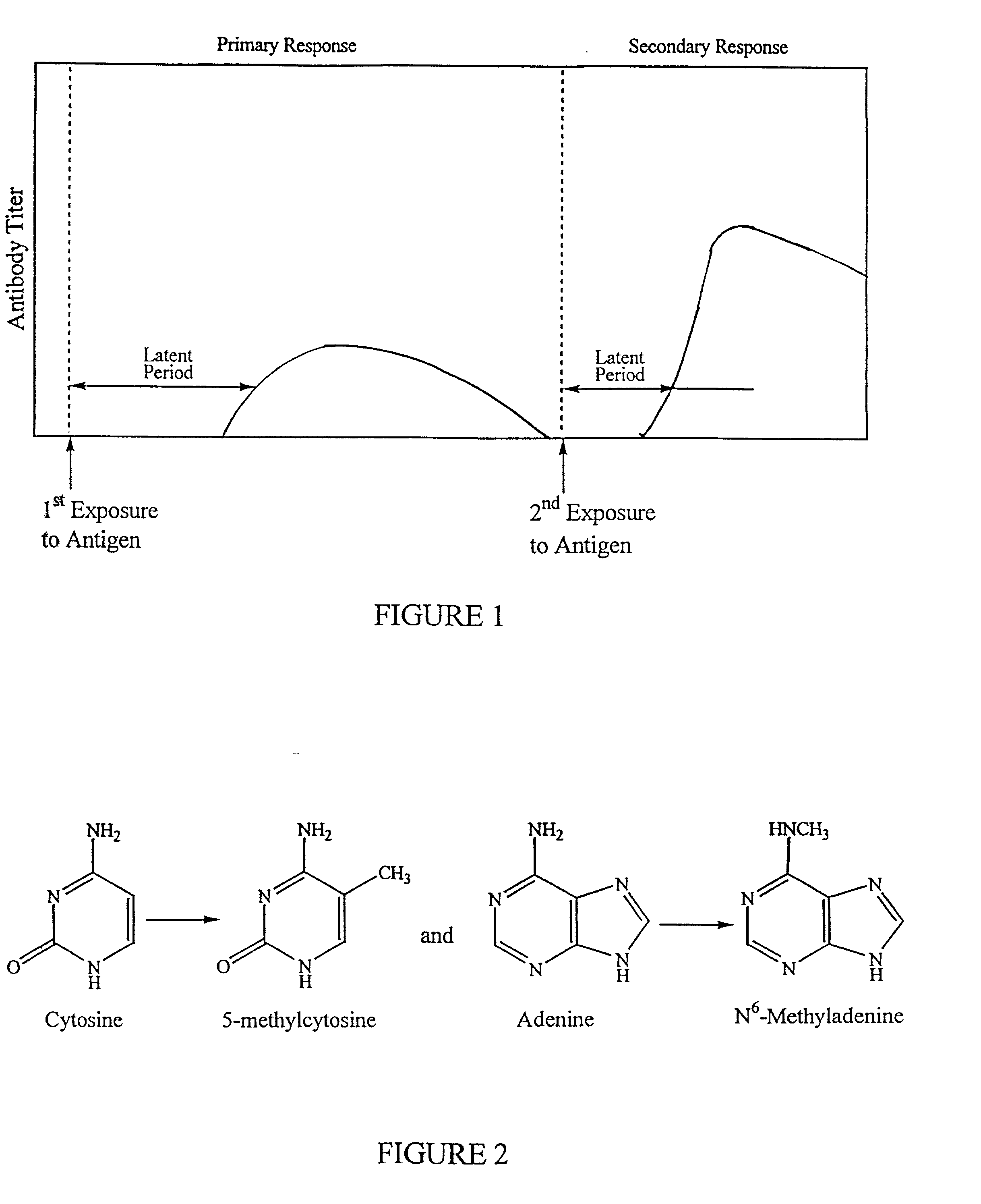 Method of creating antibodies and compositions used for same