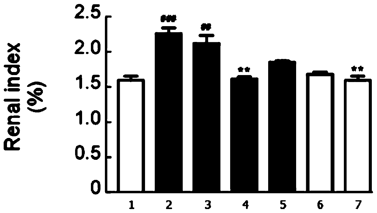 Application of luteolin and derivatives thereof in medicines for preventing and treating hyperuricemia and improving kidney injury caused by hyperuricemia