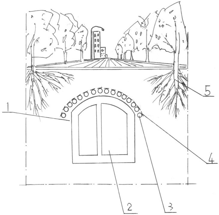 Pipe gallery advanced grouting device and method suitable for tree protection