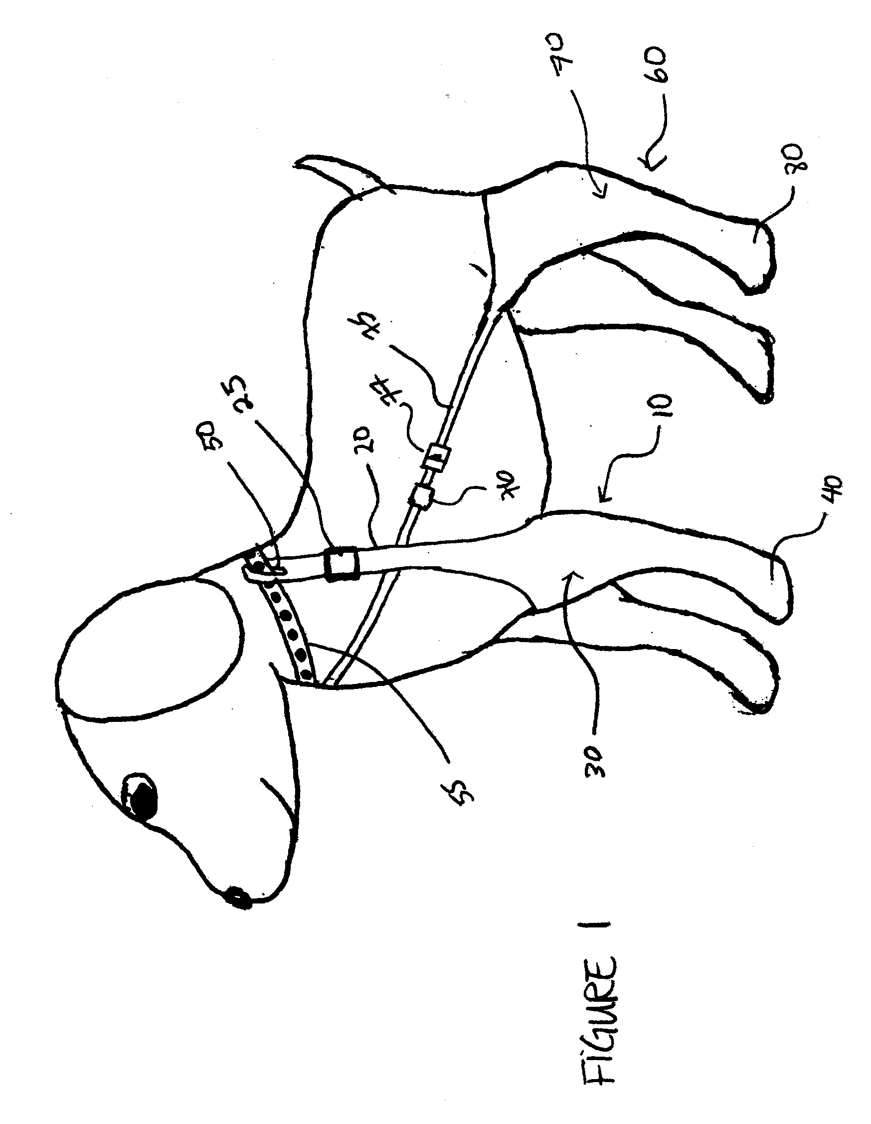 Wound care system for pets