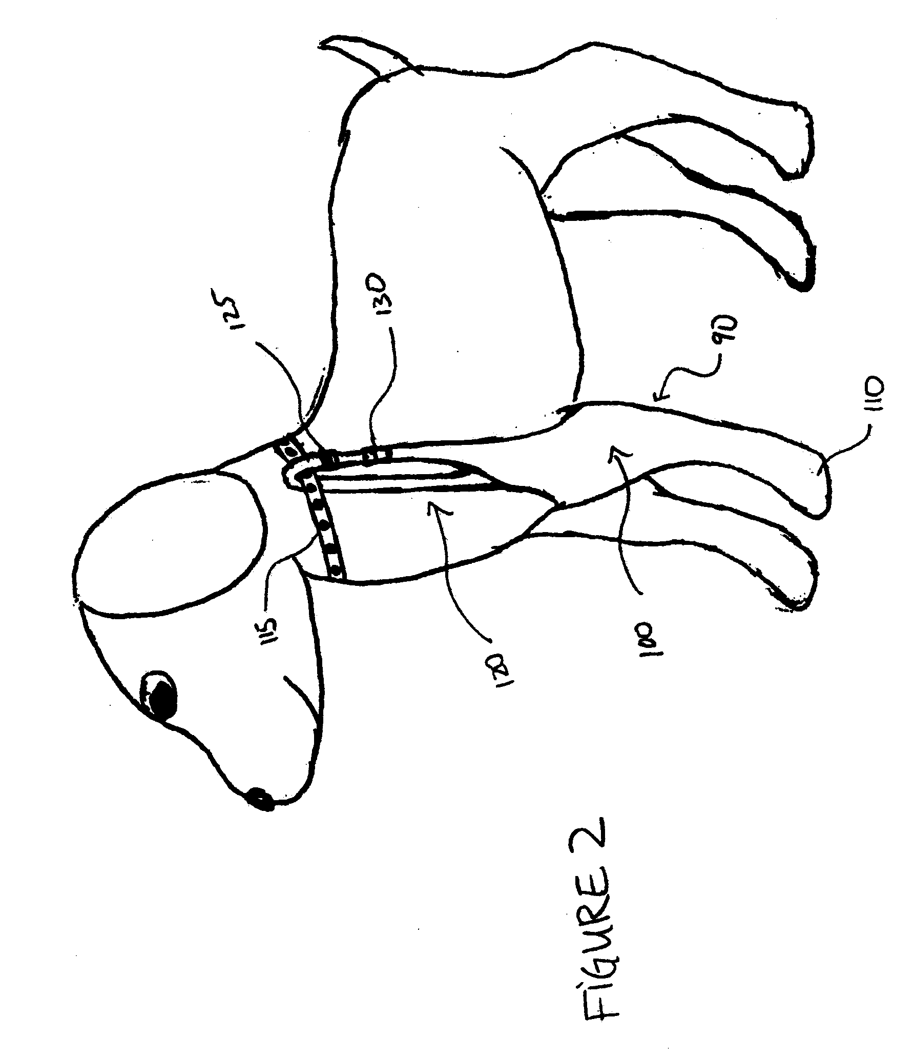 Wound care system for pets