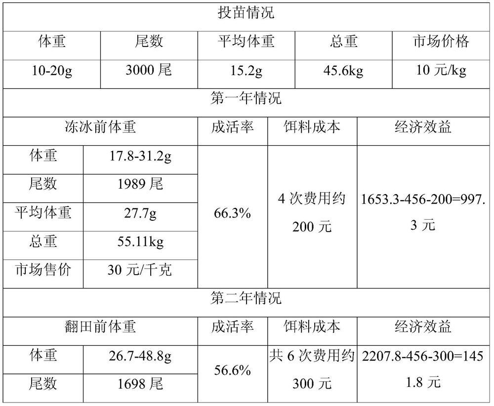 Rice field culture method suitable for Perccottus glenii in alpine region