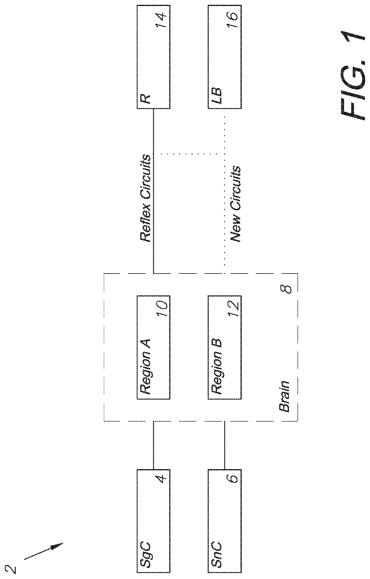 Concussion avoidance training system and method