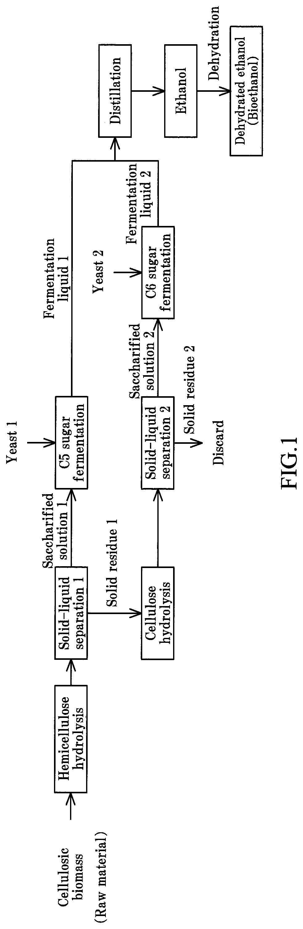 Method for producing bioethanol by enzymatic technique using cellulosic biomass as raw material