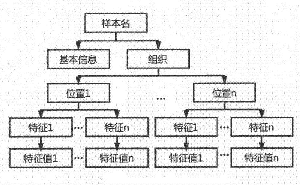 Structured processing method for cross-type breast tumor clinical document