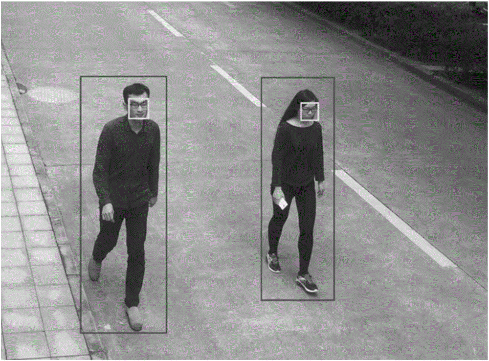 Method and equipment for common detection of human faces and human bodies