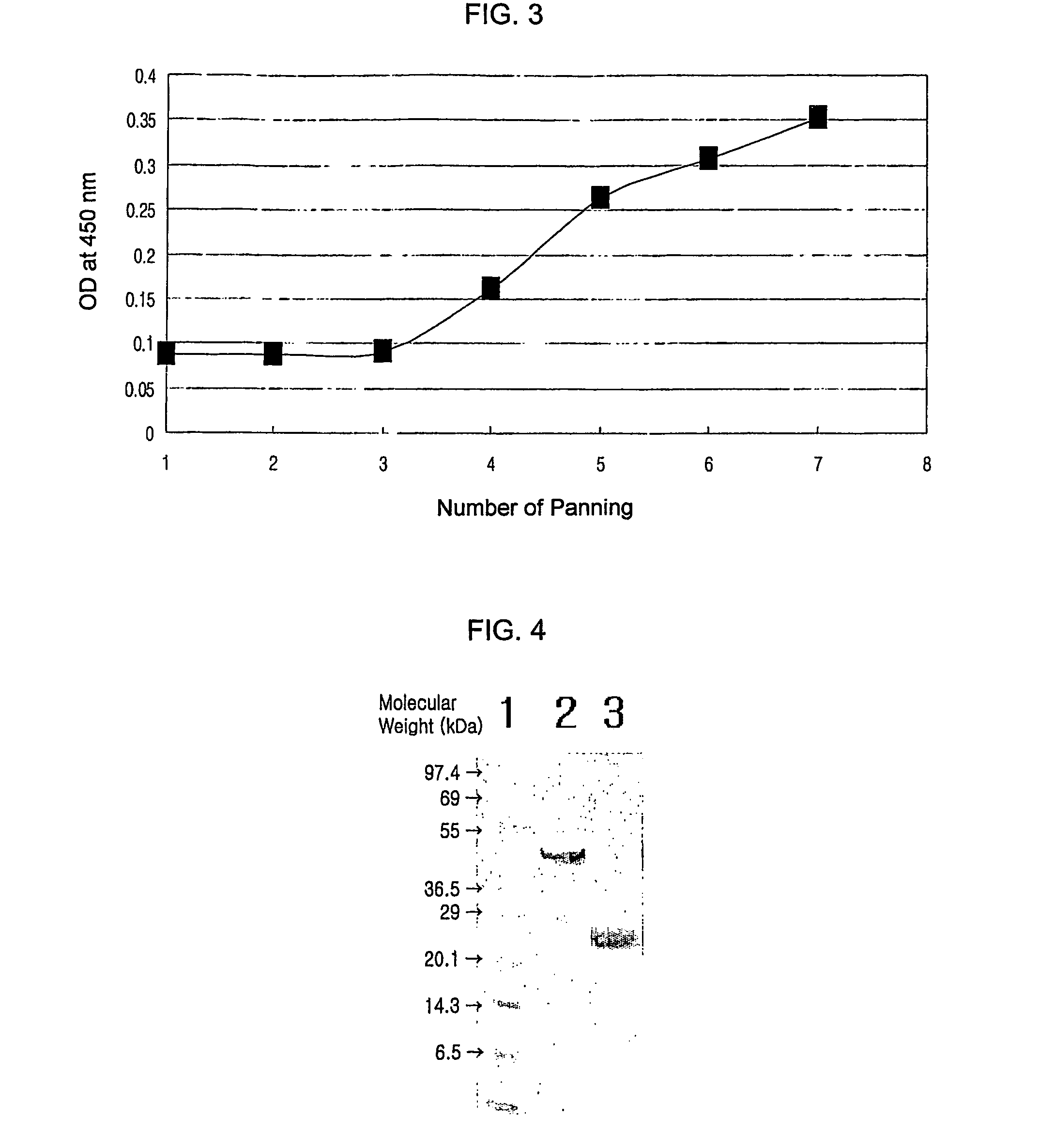 Neutralizing antibody against HGF