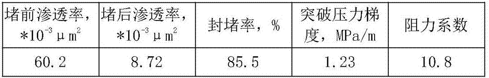 Hypotonic duct type oil deposit double-slug profile control agent and use method thereof