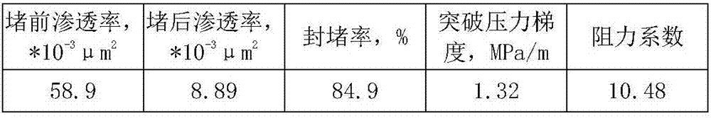 Hypotonic duct type oil deposit double-slug profile control agent and use method thereof