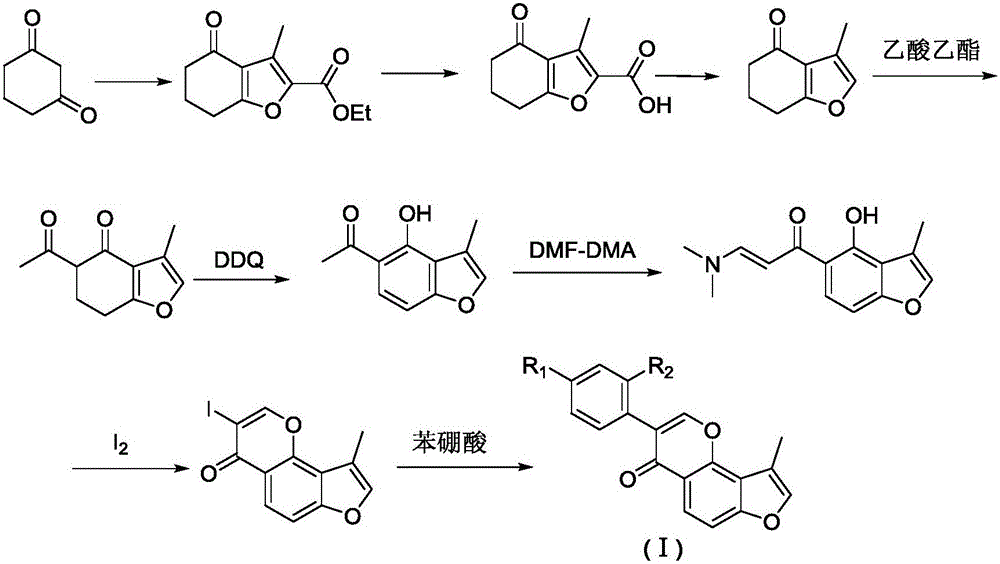 Substituted furan isoflavone derivative and preparation method thereof