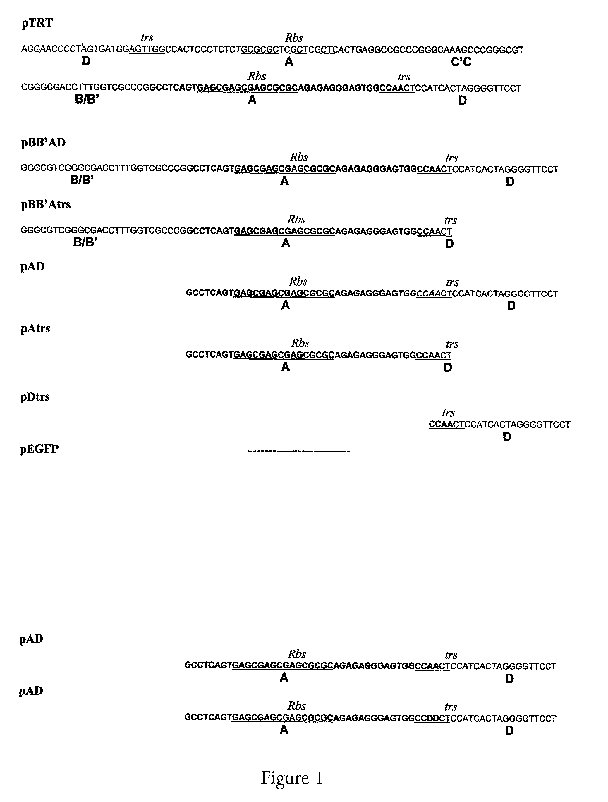 Method for generating replication defective viral vectors that are helper free