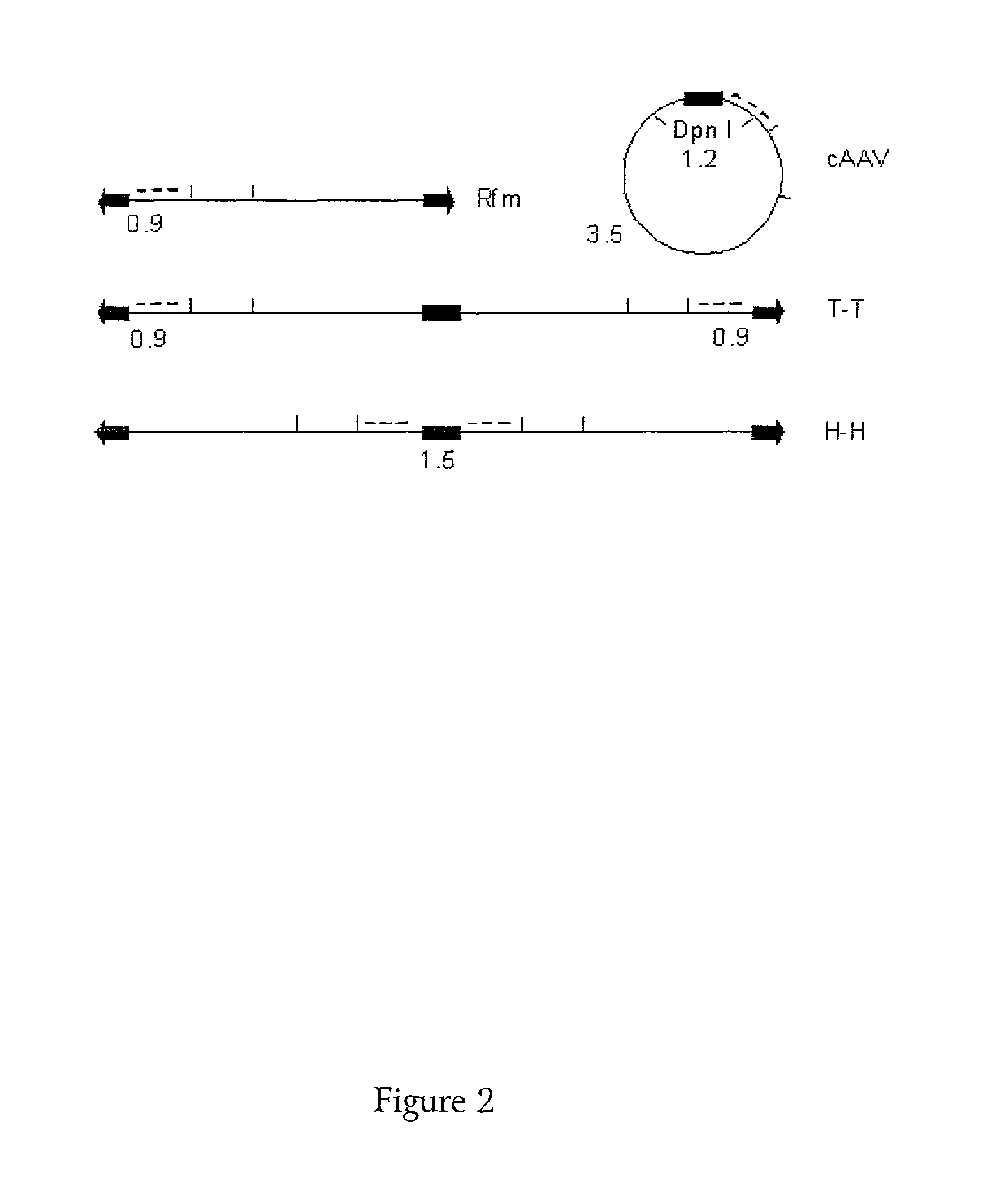 Method for generating replication defective viral vectors that are helper free