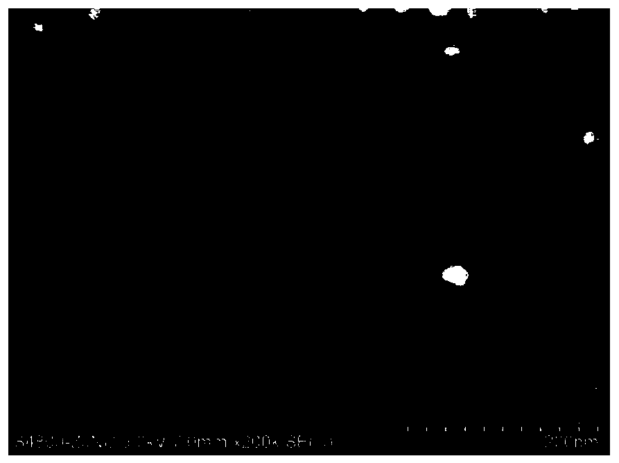 Carbon magnetic superstructure composite material and its preparation method and application