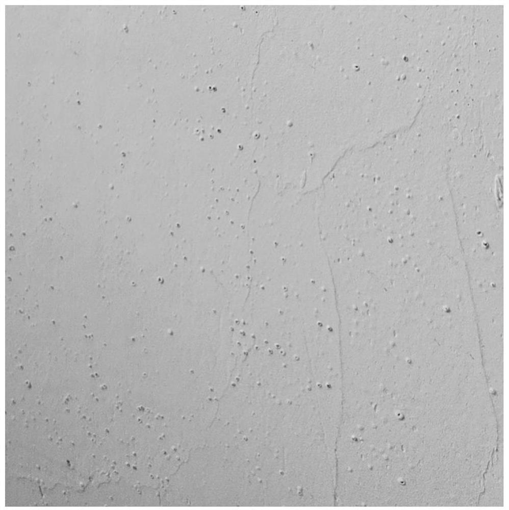 Water-resistant moisture-proof putty powder capable of defoaming and leveling as well as preparation method and use method thereof