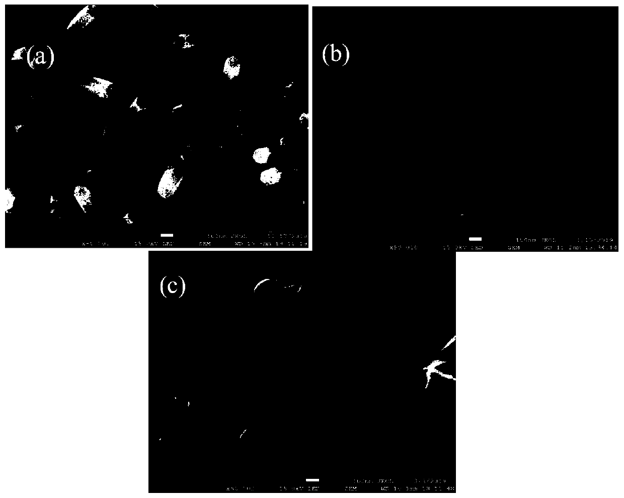 Foamed nickel self-supporting nickel nanotube super capacitor electrode material and preparation method thereof