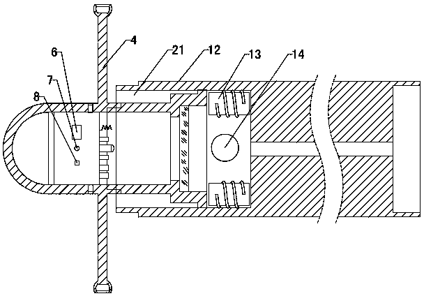 Capsule barn detection device and detection method thereof