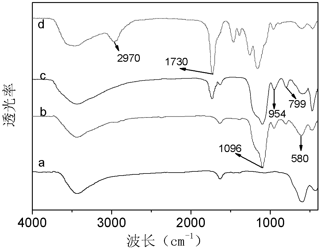 Magnetic molecularly imprinted polymer for separating atrazine, and preparation method for magnetic molecularly imprinted polymer