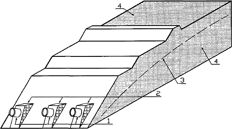 Chemical siltation resisting drainage device for tailing dam