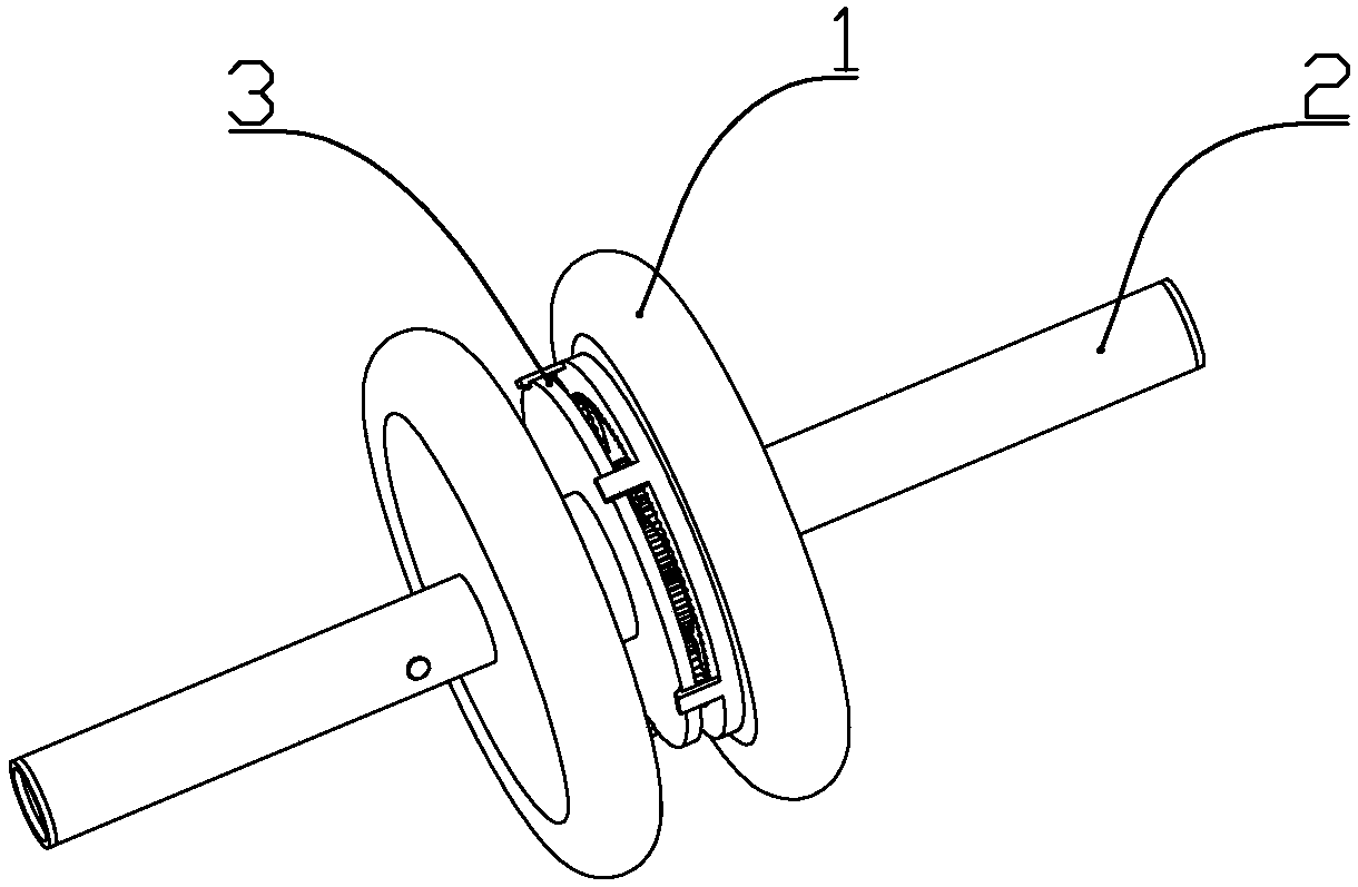 Abdominal muscle exercising apparatus