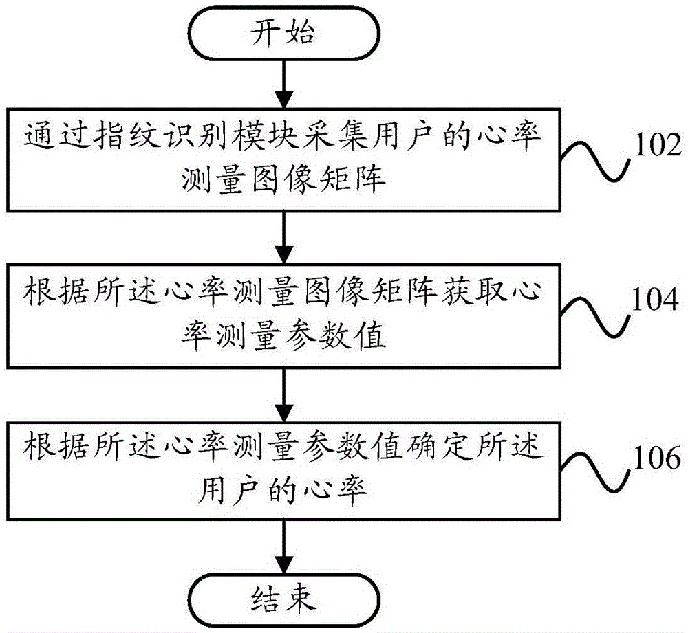 Heart rate measuring method, device and terminal