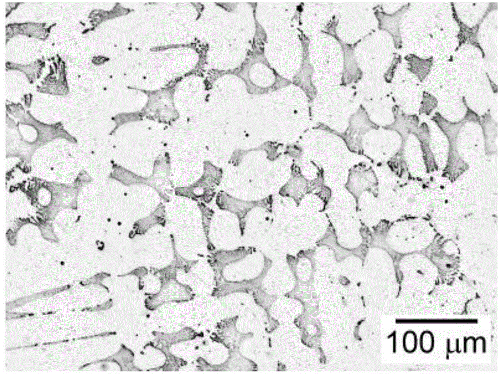 Heat-resistant cast austenitic stainless steel with excellent high-temperature comprehensive properties