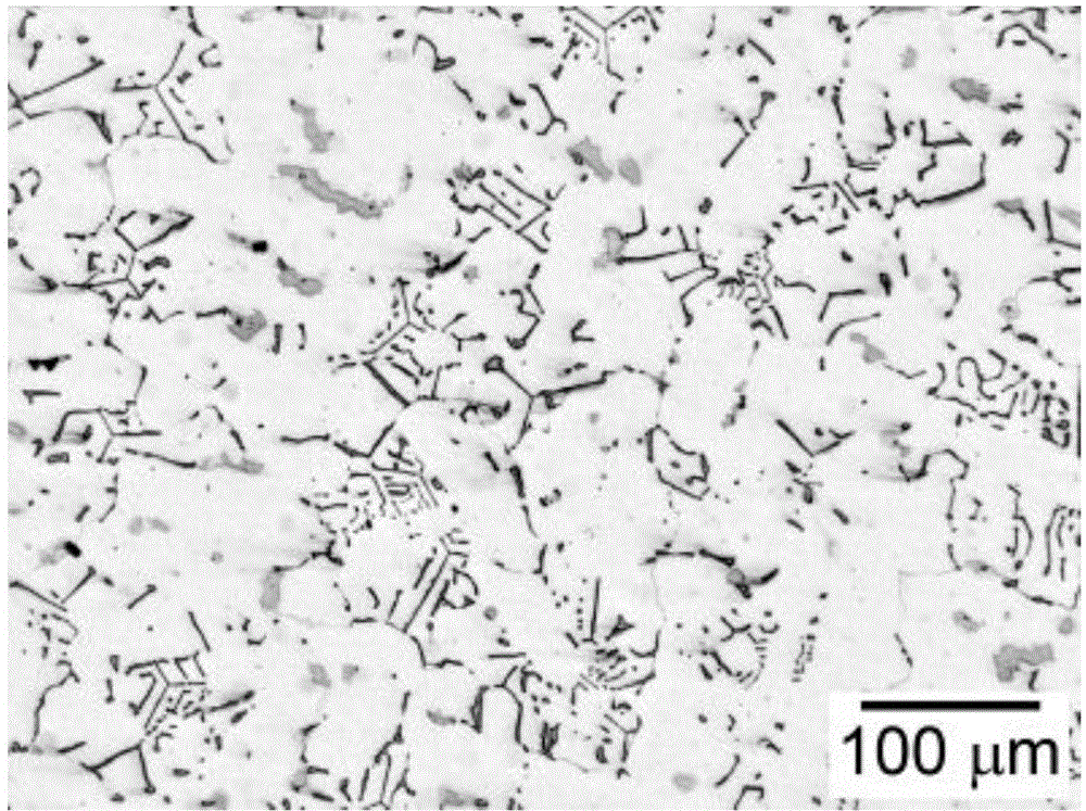 Heat-resistant cast austenitic stainless steel with excellent high-temperature comprehensive properties