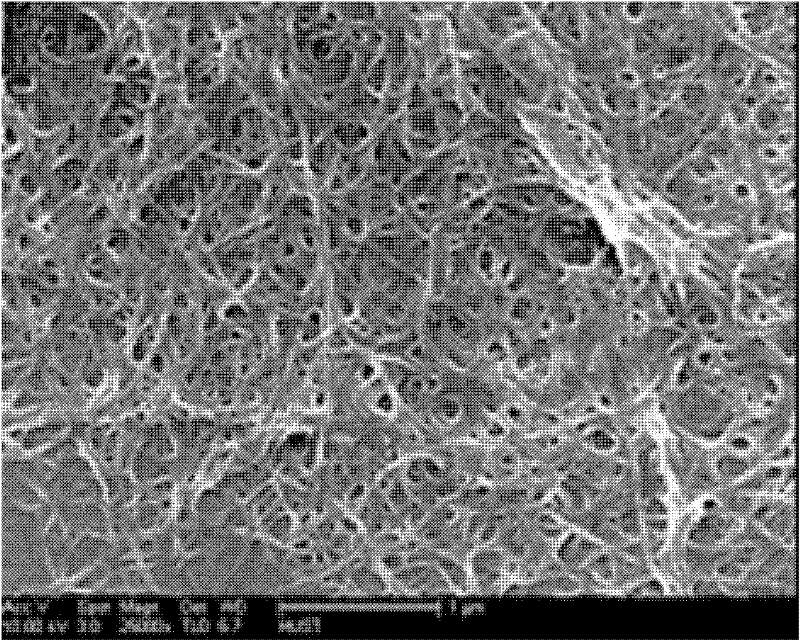 Supermolecular gel used for protecting photostability of vitamin A derivatives and its preparation method