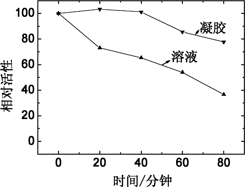 Supermolecular gel used for protecting photostability of vitamin A derivatives and its preparation method