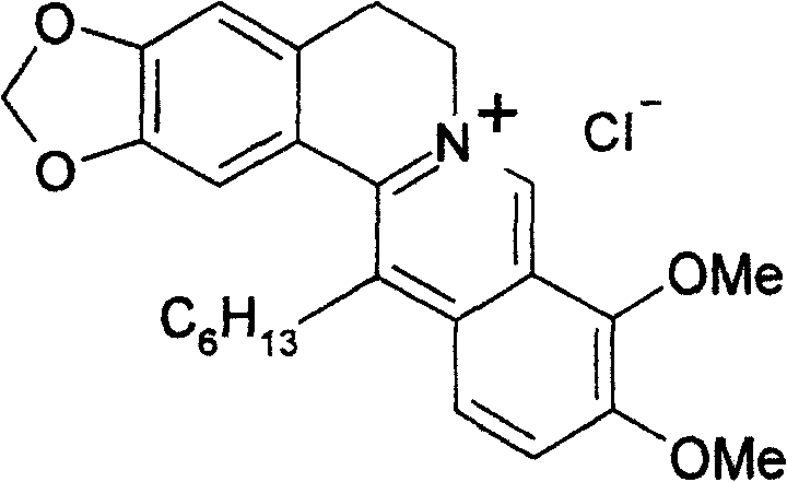 Use of chloride 13-hexyl berberine and chloride 13-hexyl palmatine in preparation of medicine for treating moist tetter, dermatitis and psoriasis