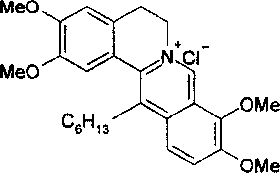 Use of chloride 13-hexyl berberine and chloride 13-hexyl palmatine in preparation of medicine for treating moist tetter, dermatitis and psoriasis