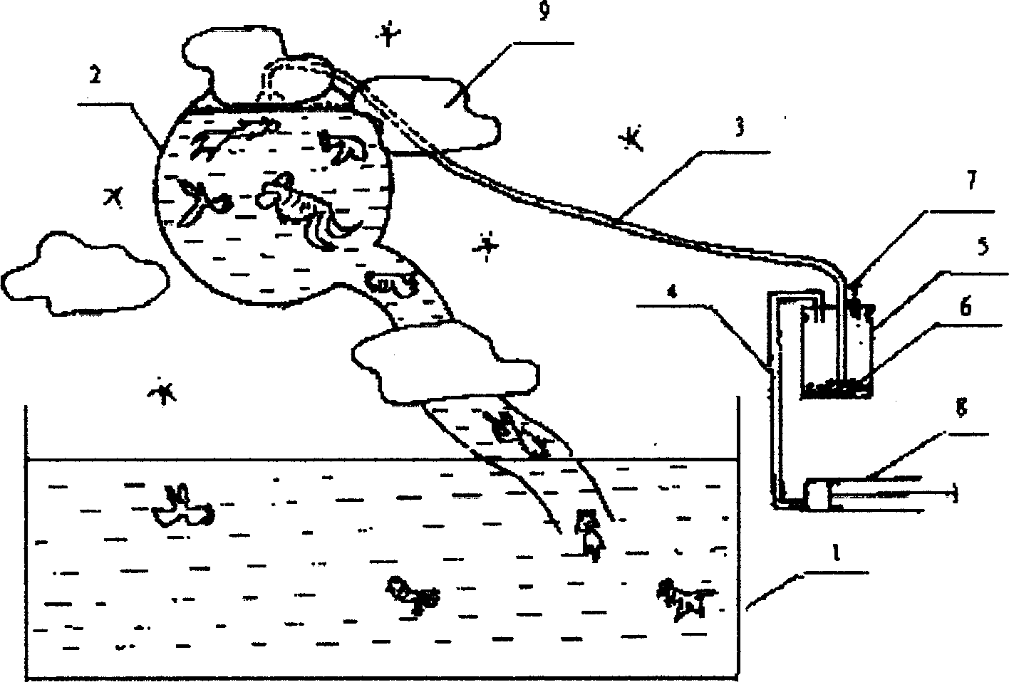 Method of cultivating pet fishes and dedicated equipment therefor