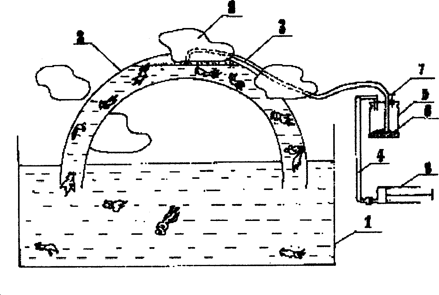 Method of cultivating pet fishes and dedicated equipment therefor