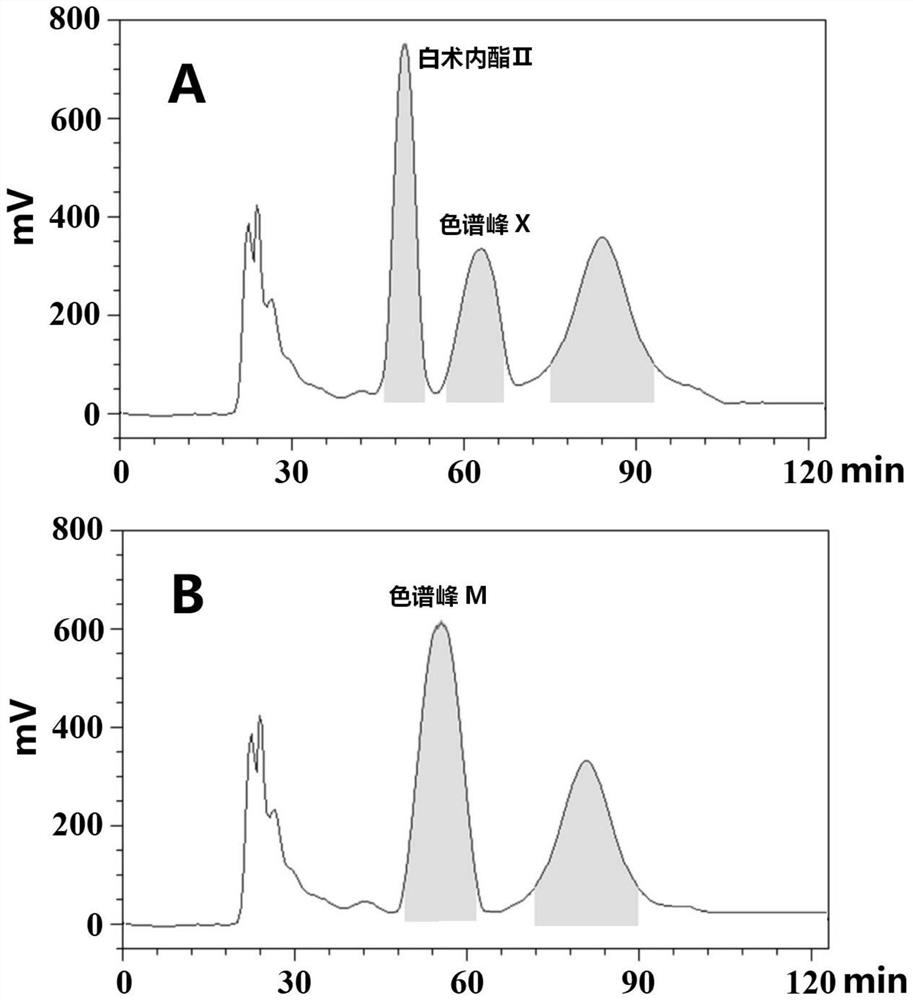 A kind of preparation method of atractylodes lactone II