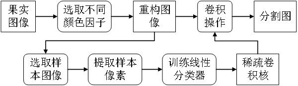 Fruit segmentation method based on sparse convolution kernel