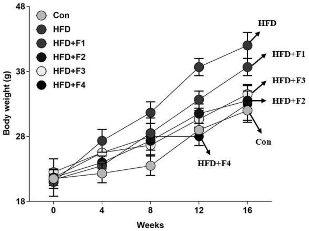 Fisetin phospholipid complex, weight-reducing medicine/health food and application thereof