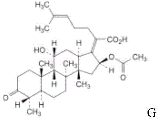 Sodium fusidate powder-injection pharmaceutical composition for injection and preparation method