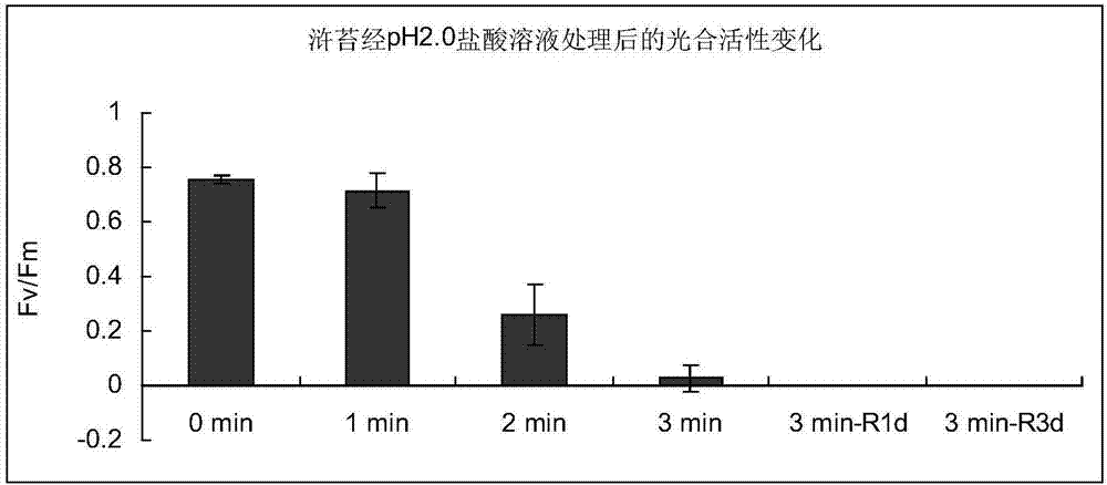 Method for removing algae and enteromorpha on cultivation web curtain