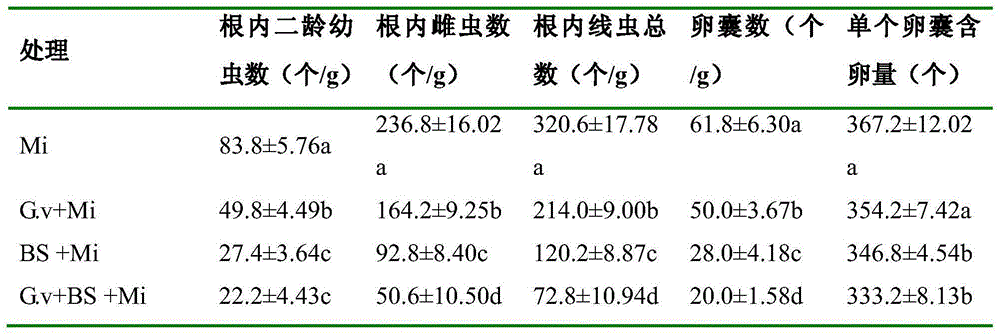 Composite microbial agent for prevention and treatment of tomato root knot nematode disease and application thereof