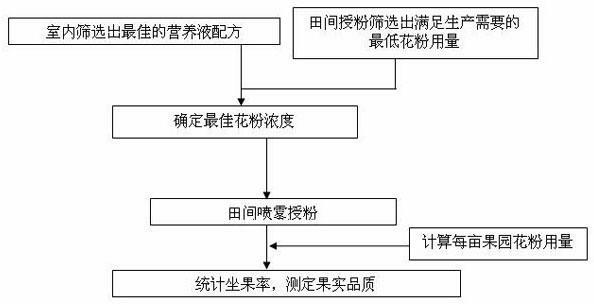 Method with effects of saving cost and improving efficiency for liquid pollination of pear tree