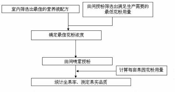 Method with effects of saving cost and improving efficiency for liquid pollination of pear tree