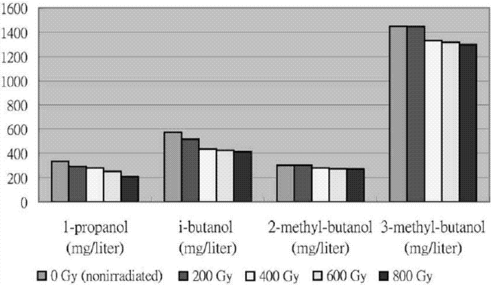 Method for accelerating aging of yellow wine through gamma-irradiation