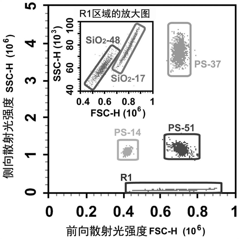 Fluorescent encoding microspheres and arrays and preparation method of fluorescent encoding microsphere