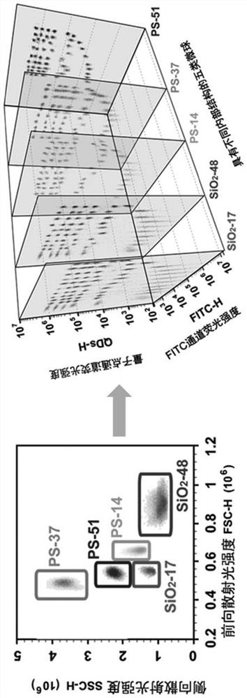 Fluorescent encoding microspheres and arrays and preparation method of fluorescent encoding microsphere