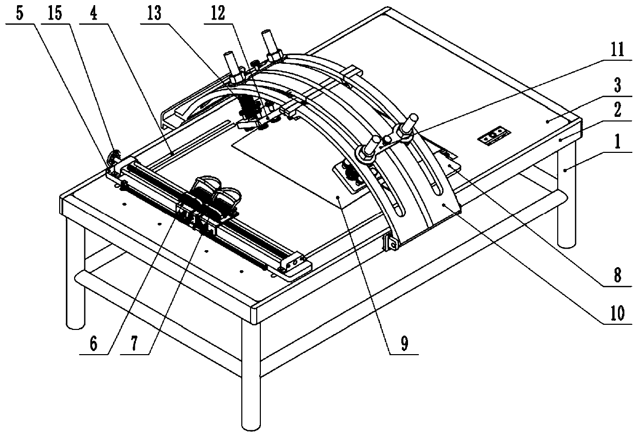 Medical diagnosis and treatment device for obstetrical and gynecological diseases